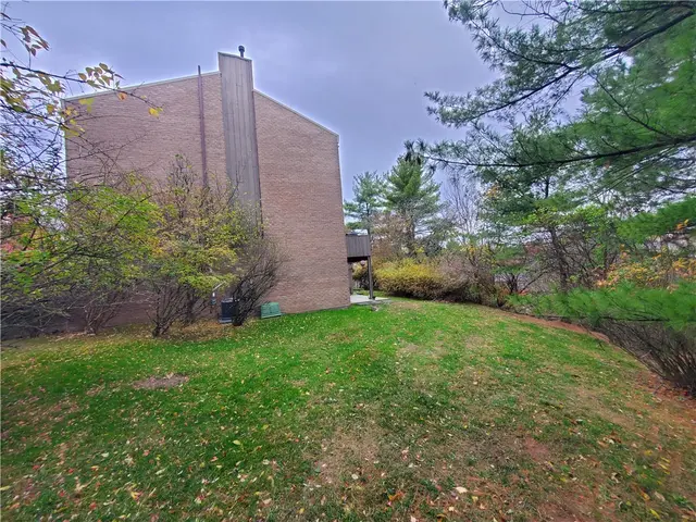 264 Elm Ct gallery image 23