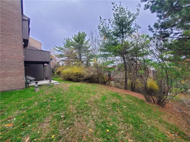 264 Elm Ct gallery image 27