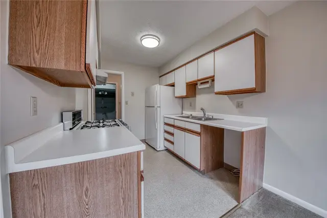 302 Carla Dr gallery image 32
