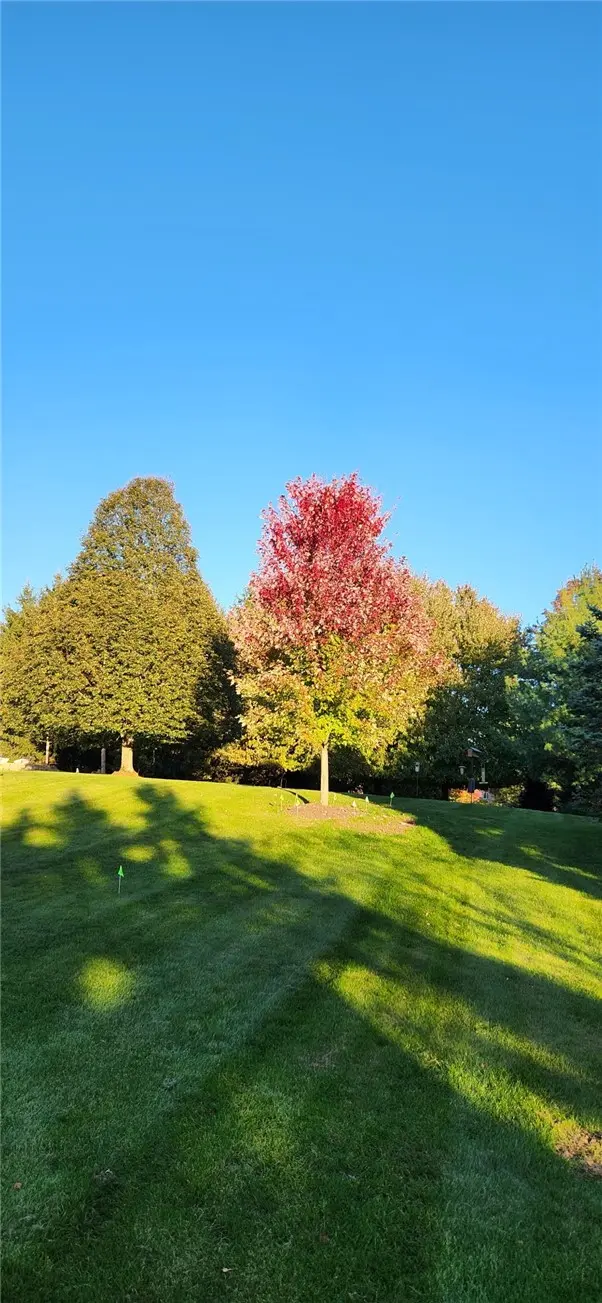 3021 East Ridge Drive gallery image 24