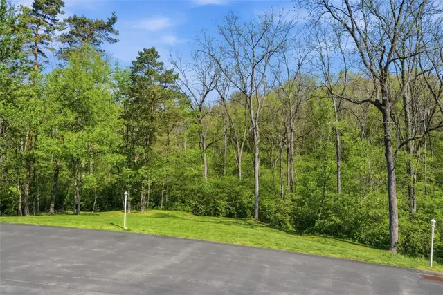 303 Northglen Ct gallery image 28