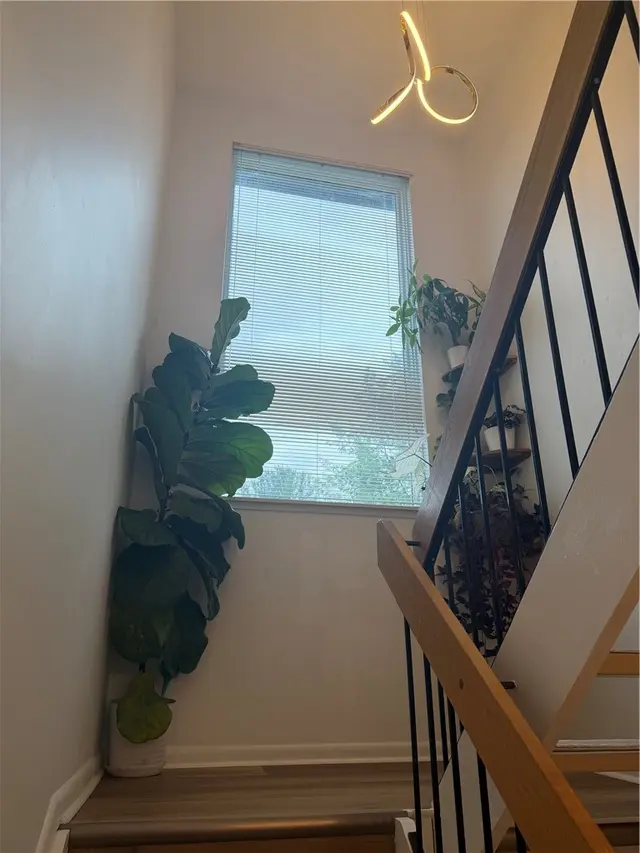 304 Central Dr gallery image 16