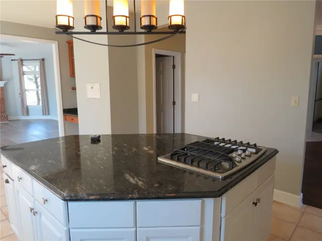 304 Scenic Ridge Ct gallery image 18