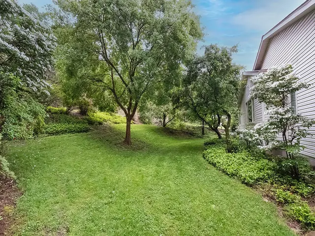 305 Ivy Dr gallery image 12