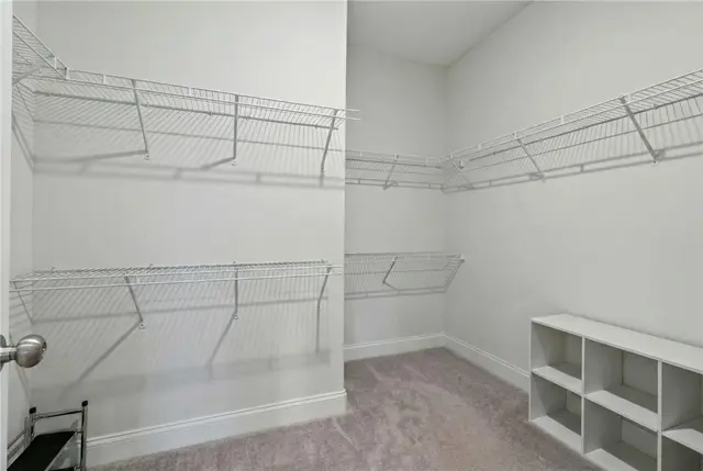 307 Harlequin Street gallery image 20