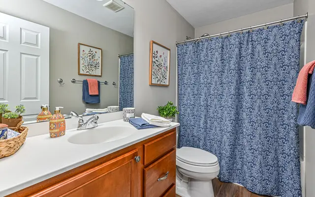 308 Marshall Heights DRIVE gallery image 26