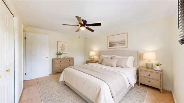 313 Meadow Dr gallery image 12