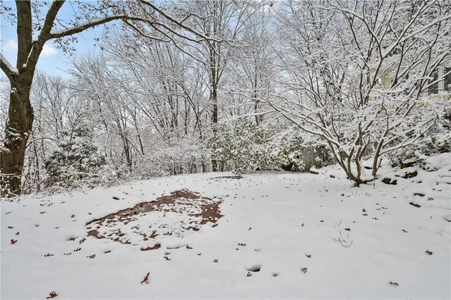 3145 Scenic Drive gallery image 34