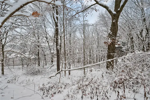 3145 Scenic Drive gallery image 35