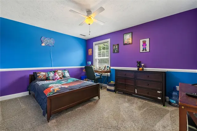 323 Eagle Drive gallery image 5
