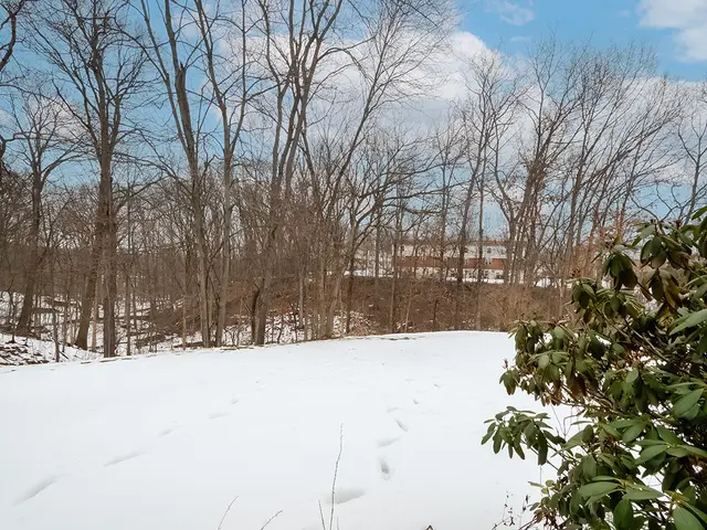 324 Central Dr gallery image 19