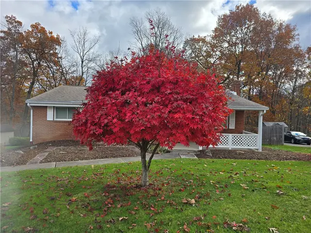 3430 E Stag Dr gallery image 5
