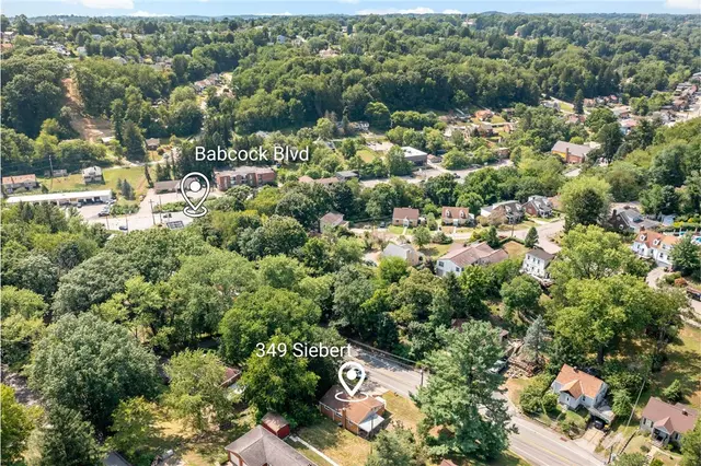 349 Siebert Rd gallery image 10