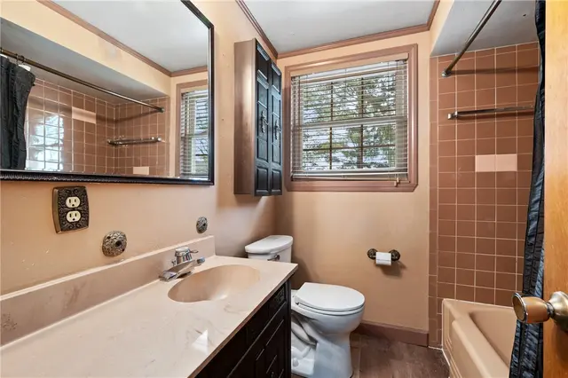369 Haugh Drive gallery image 18