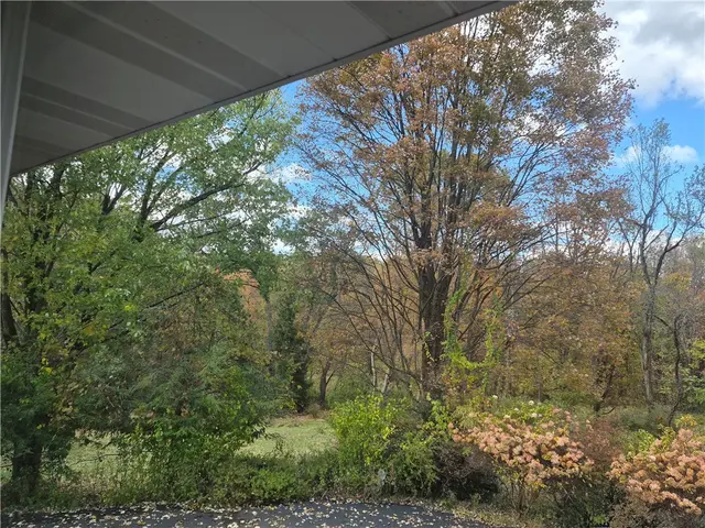3816 Hilltop Dr gallery image 6