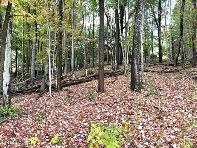 3893 Ashland Court gallery image 38