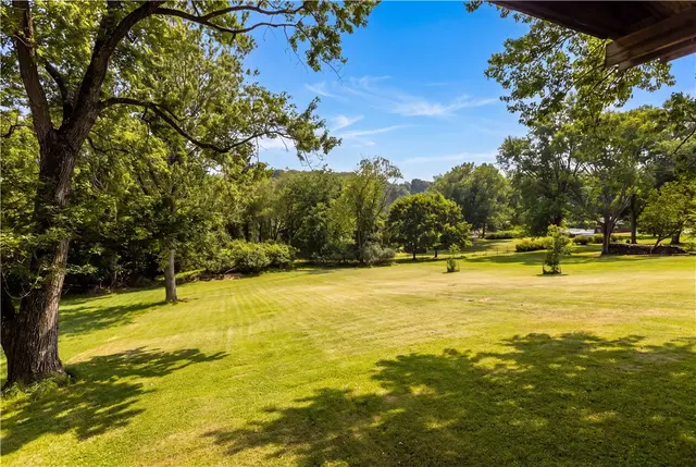 407 Vineyard Dr gallery image 43
