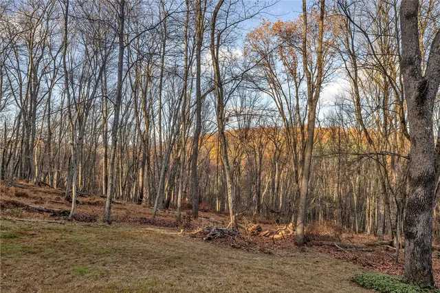 4099 Lee Manor Dr gallery image 9