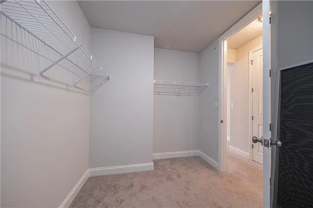 417 Roebling Ct gallery image 12