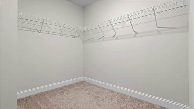 441 Roebling Ct gallery image 12