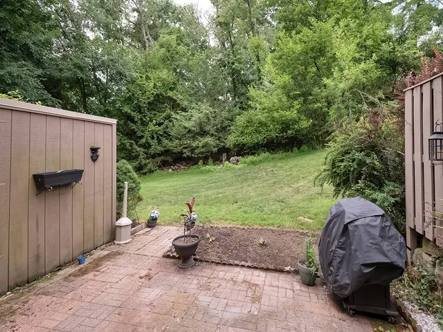 454 Willow COURT gallery image 19