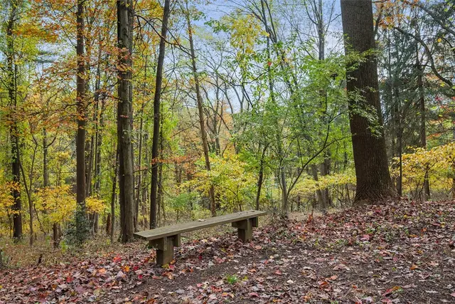 4544 Nature Trail Dr gallery image 16