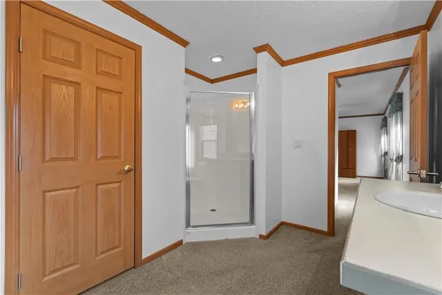 4601 WILDWOOD SAMPLE RD gallery image 22
