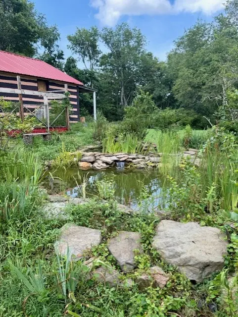 479 Brierly Lane Ext gallery image 18