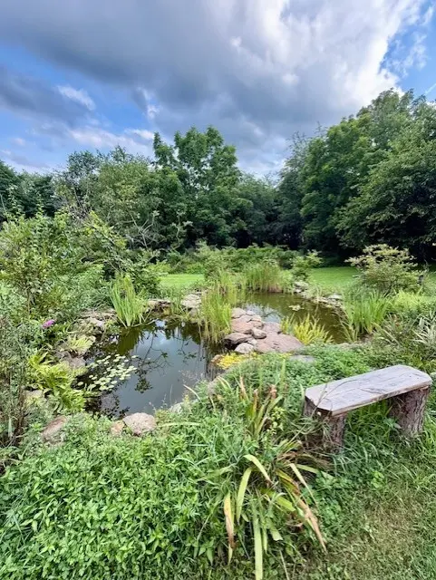 479 Brierly Lane Ext gallery image 23