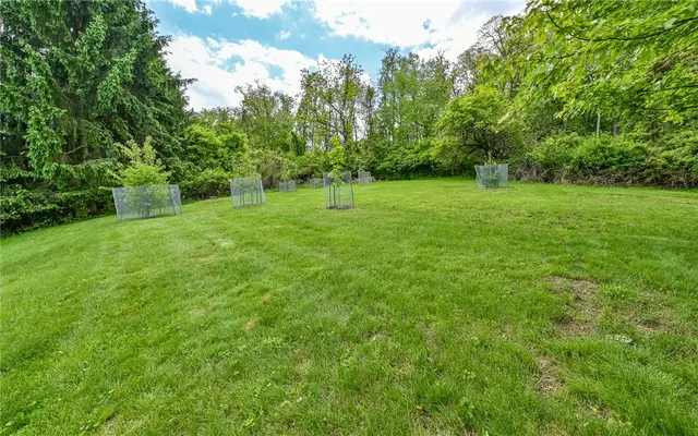 4823 Shamrogue Ct gallery image 5