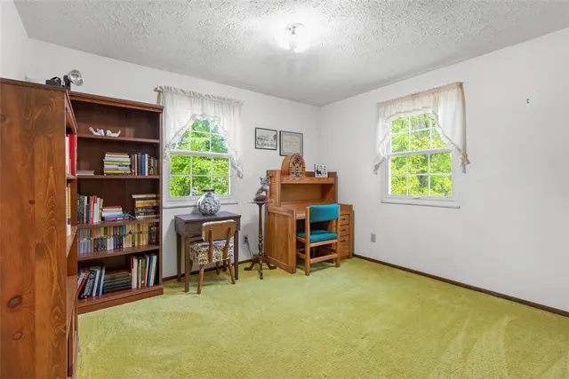 5168 Elm Drive gallery image 45