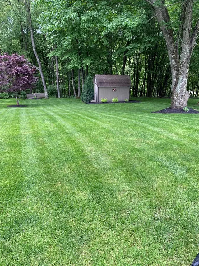 521 Greenspire Ct gallery image 13