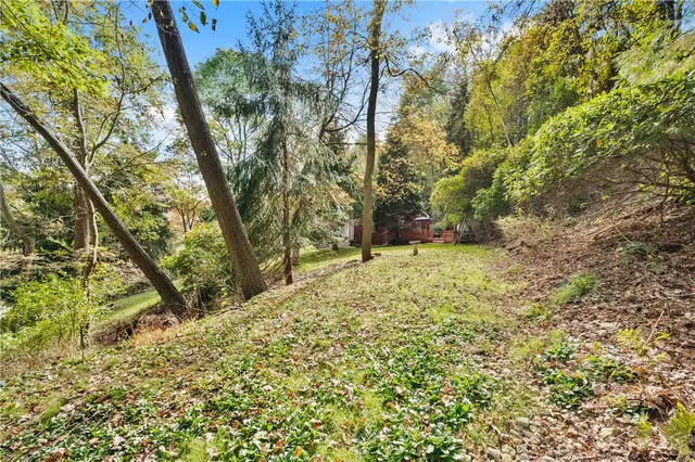 525 Arcadia Drive gallery image 38