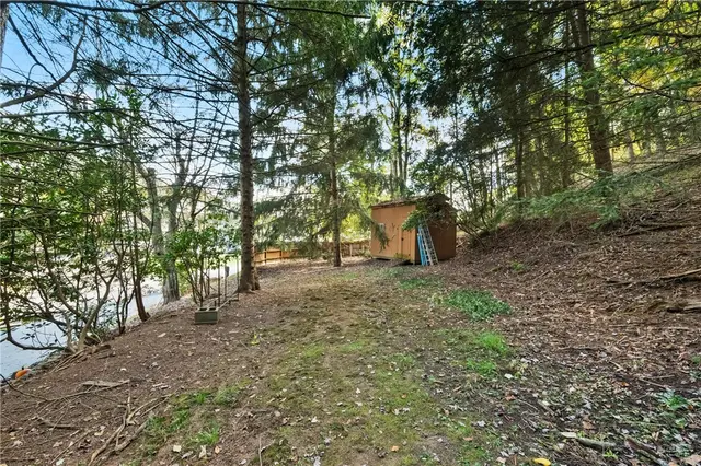 525 Arcadia Drive gallery image 39