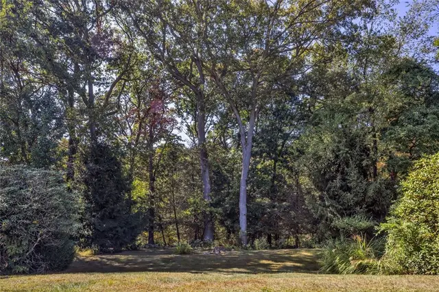 529 Greenspire Ct gallery image 19