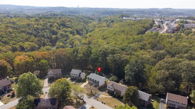 529 Greenspire Ct gallery image 24