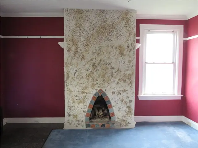 605 Mulberry St gallery image 19