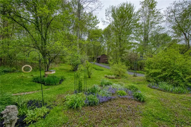 64 Shuster Rd gallery image 16