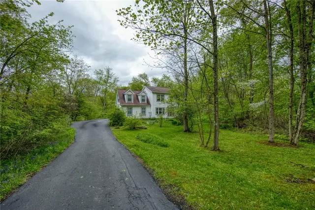 64 Shuster Rd gallery image 35