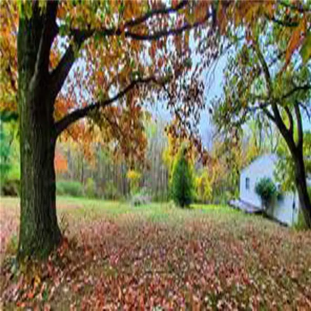 654 Baur Dr gallery image 11