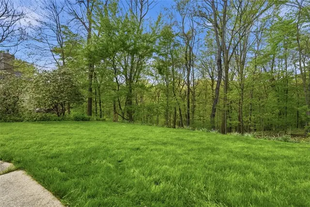 702 Rustic Ridge Dr gallery image 23