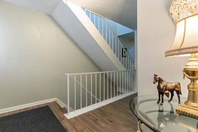 703 Timber Ln gallery image 11