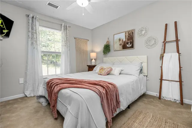 713 Norwegian Spruce Dr gallery image 25