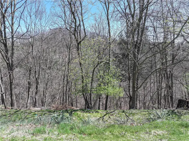 715 MOONSTONE DRIVE gallery image 37