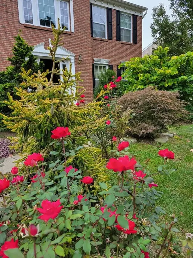 8010 Maureen Dr gallery image 8