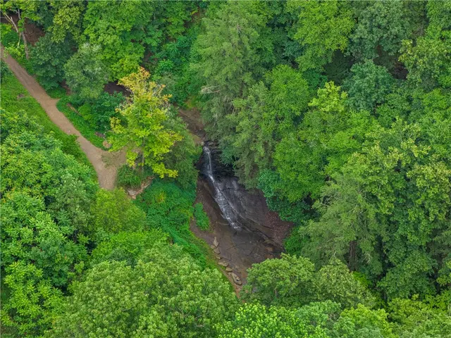 809 Limestone Dr gallery image 5
