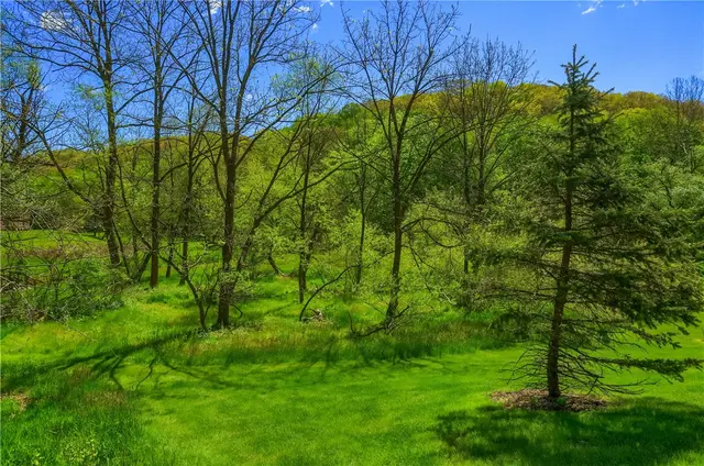 828 Village Dr gallery image 7