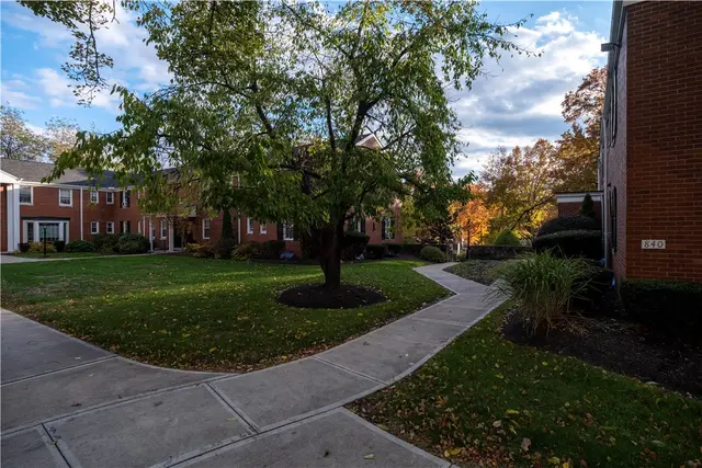 836 THORN STREET 30 gallery image 4