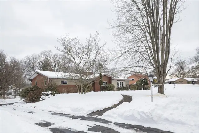 9342 Springfield Drive gallery image 6