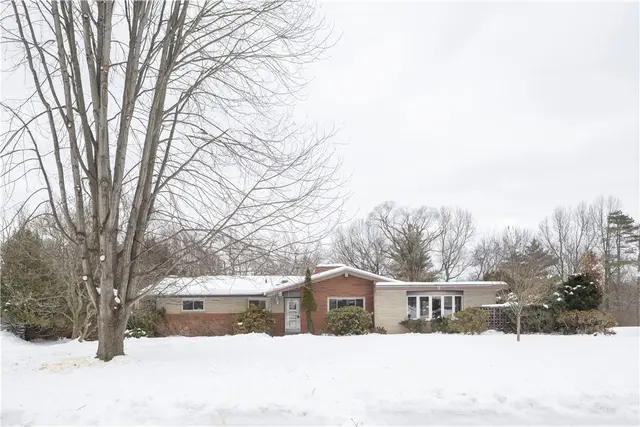 9342 Springfield Drive gallery image 31